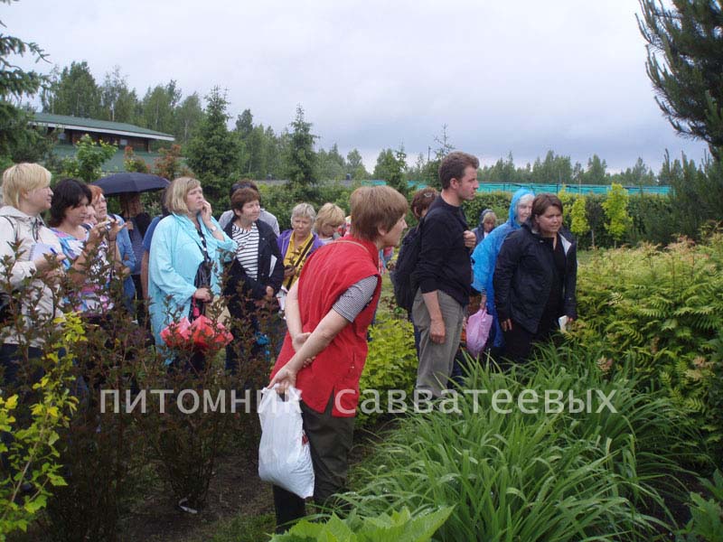 Экскурсия с Александром Сапелиным